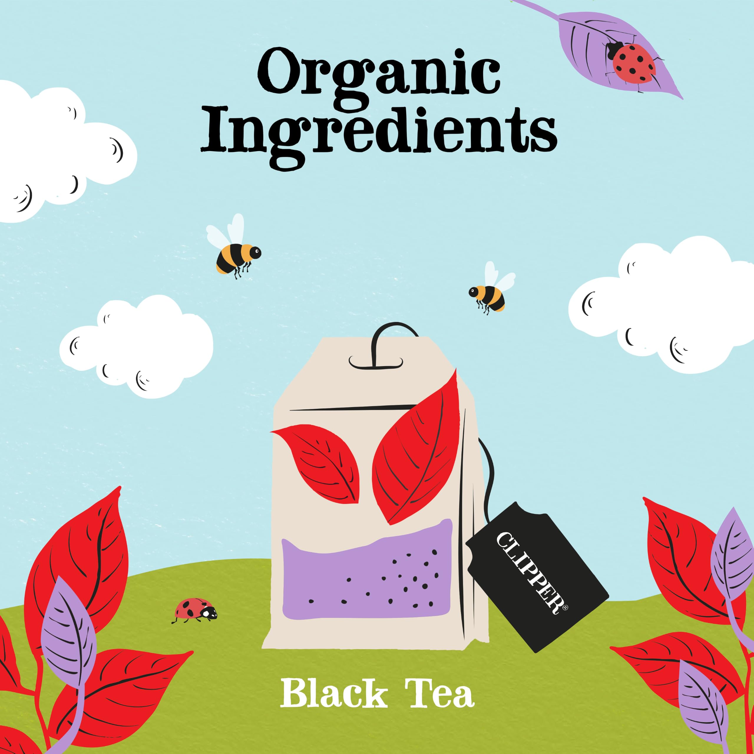 Clipper Tea taza humeante antes de beber con aroma reconfortante
