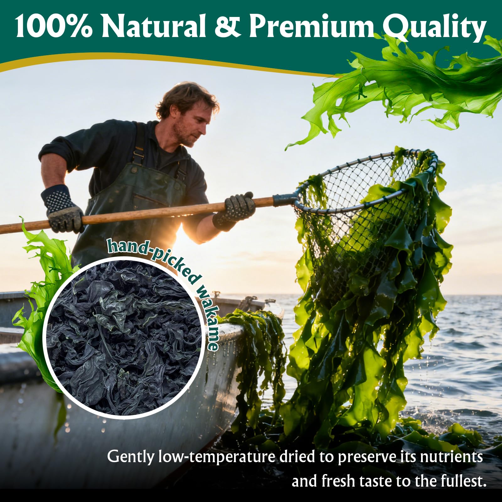 Colehechr wakame hidratado textura suave ideal para ensaladas