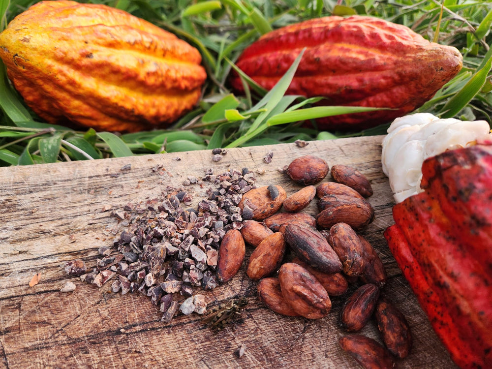 Colombian Cacao etiqueta de origen único que destaca trazabilidad y fermentación