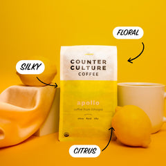 Counter Culture primer plano de textura de granos enteros con brillo natural