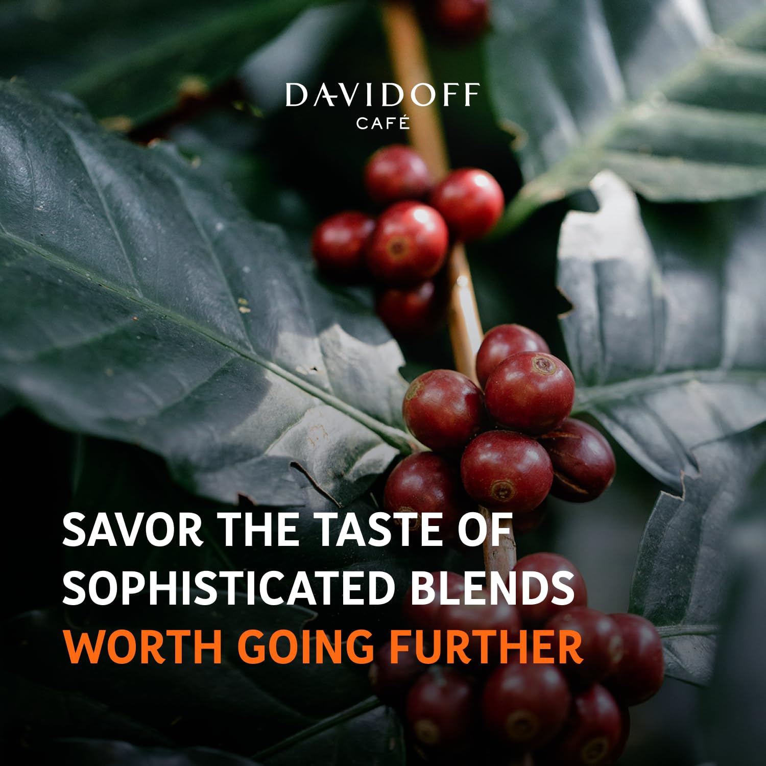 Davidoff preparación en oficina, conveniencia y sabor profesional