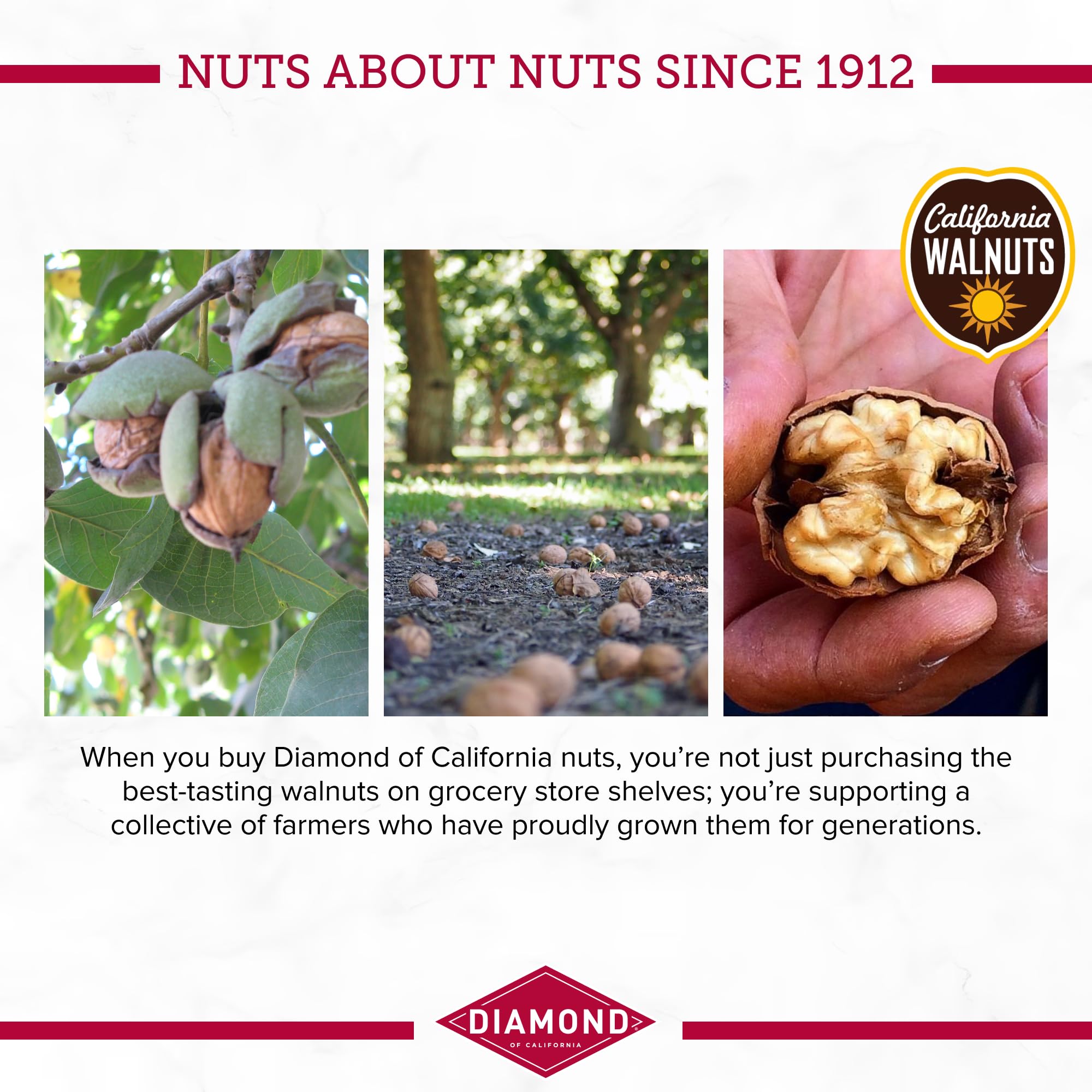 Diamond of California etiqueta con certificados Non-GMO y kosher visibles