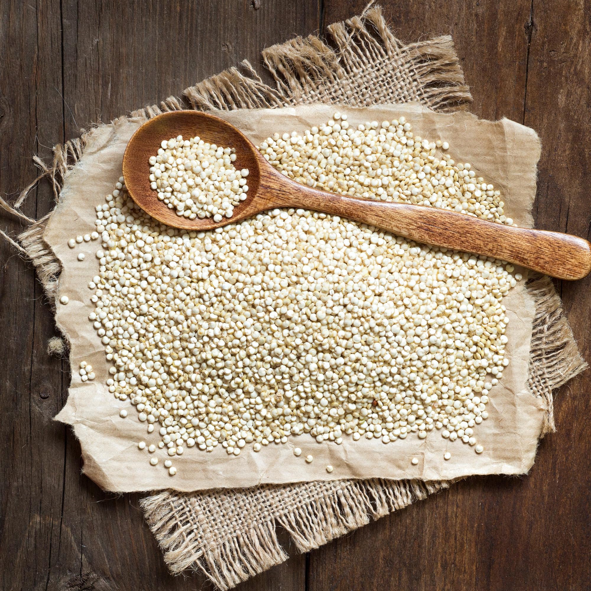 Earthborn Elements quinoa cocida en ensalada, opción versátil y nutritiva