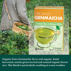Eden Genmaicha hojas de sencha en detalle, frescura y calidad