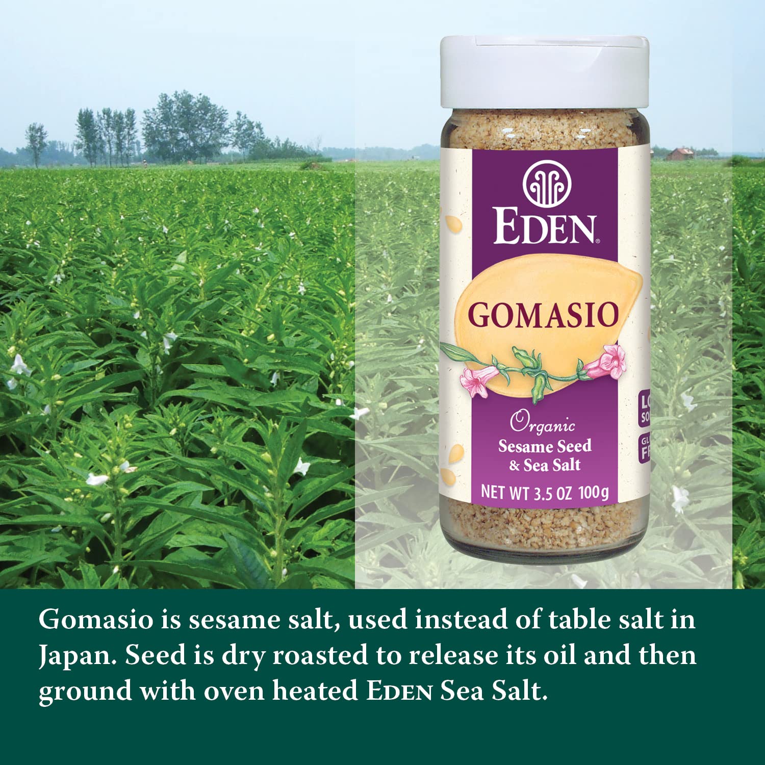 Eden Organic cucharada de gomasio que muestra textura crujiente