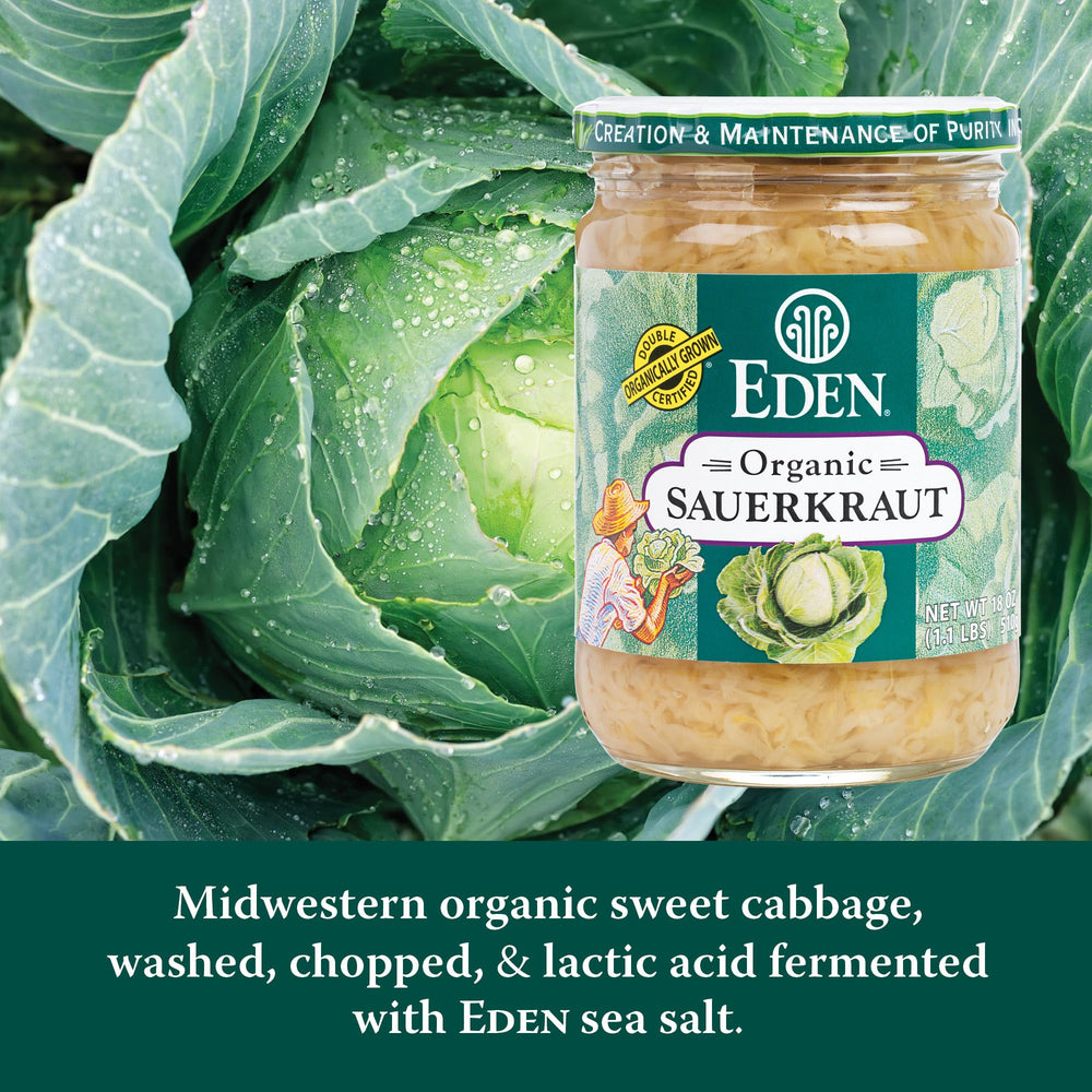 Eden Organic Sauerkraut textura en cuchara que destaca frescura
