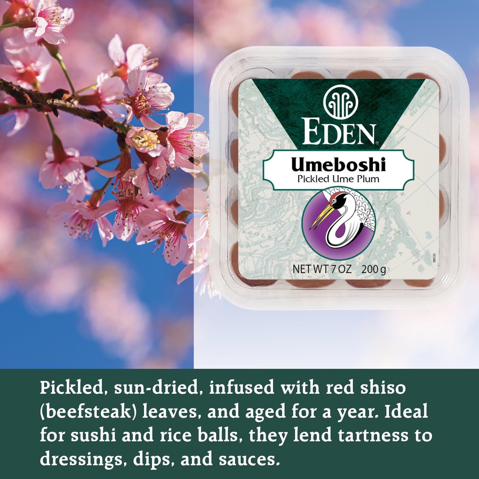 CREATION AND MAINTENANCE OF PURITY IN FOOD comparación de tamaño de umeboshi Eden junto a cuchara
