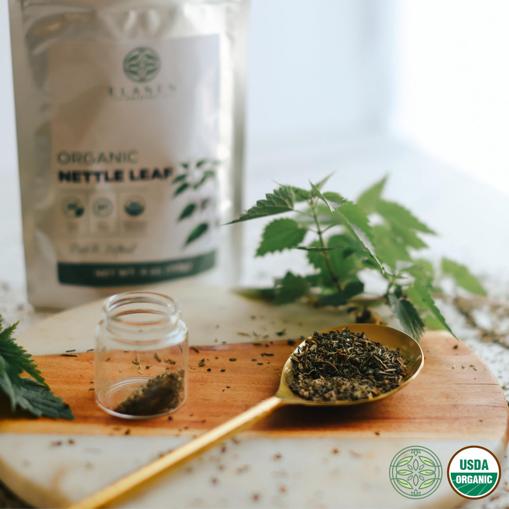 Elanen Naturals ortiga usada en sopa mostrando versatilidad culinaria