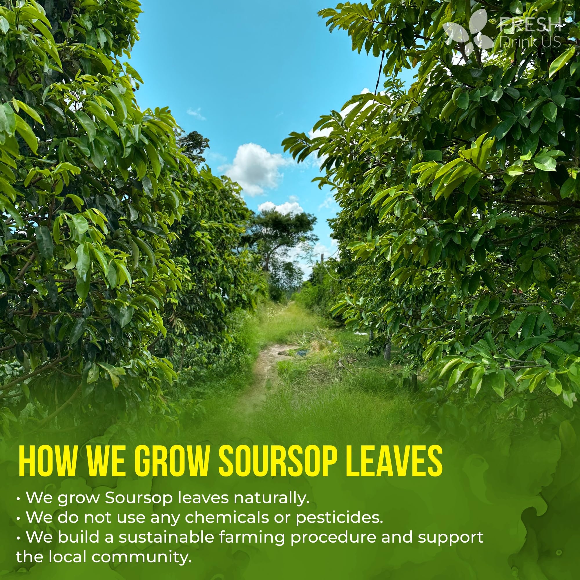 FRESHDRINKUS detalle de bolsita biodegradable sin grapas ni hilos