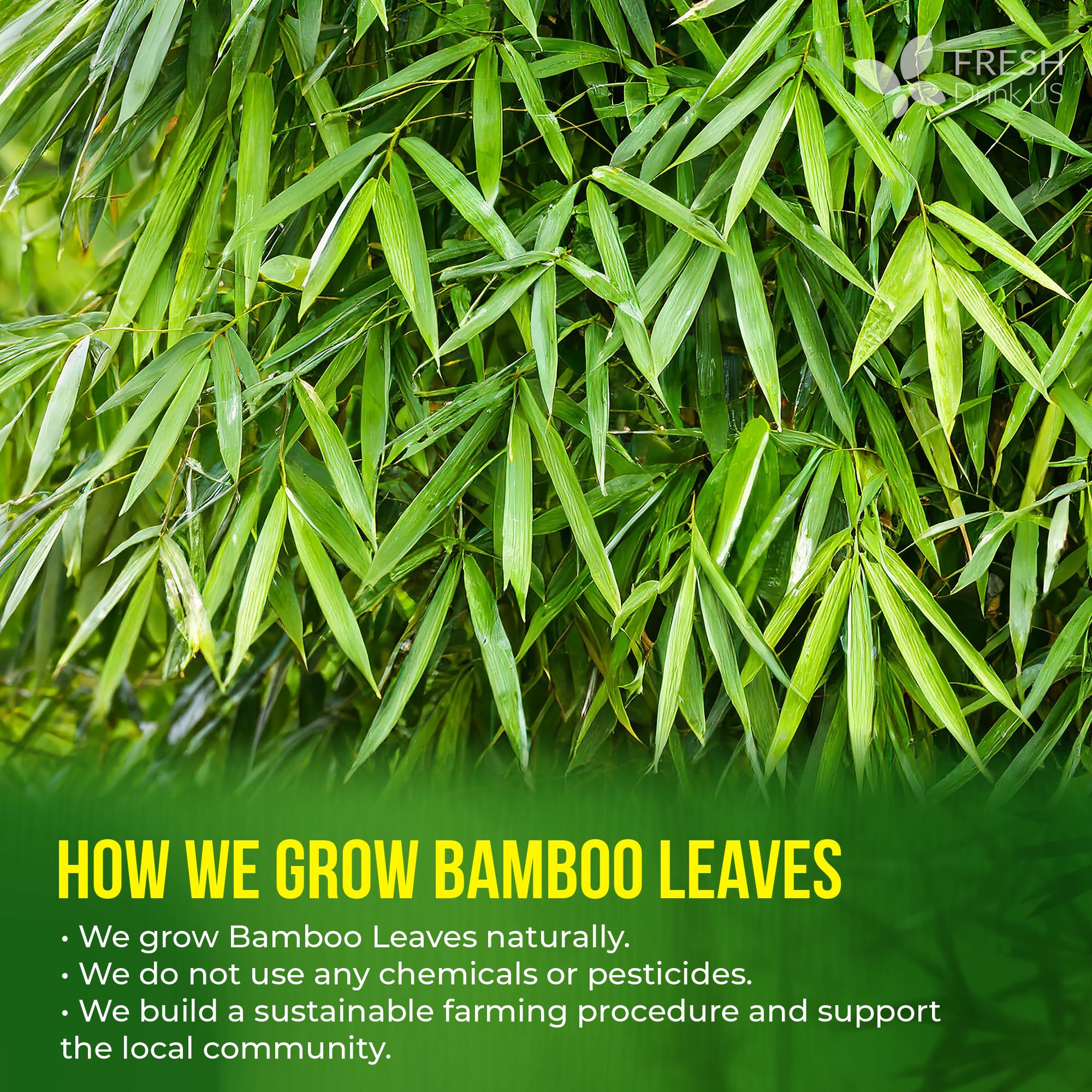 FRESHDRINKUS detalle de hojas de bambú para beneficio calidad natural