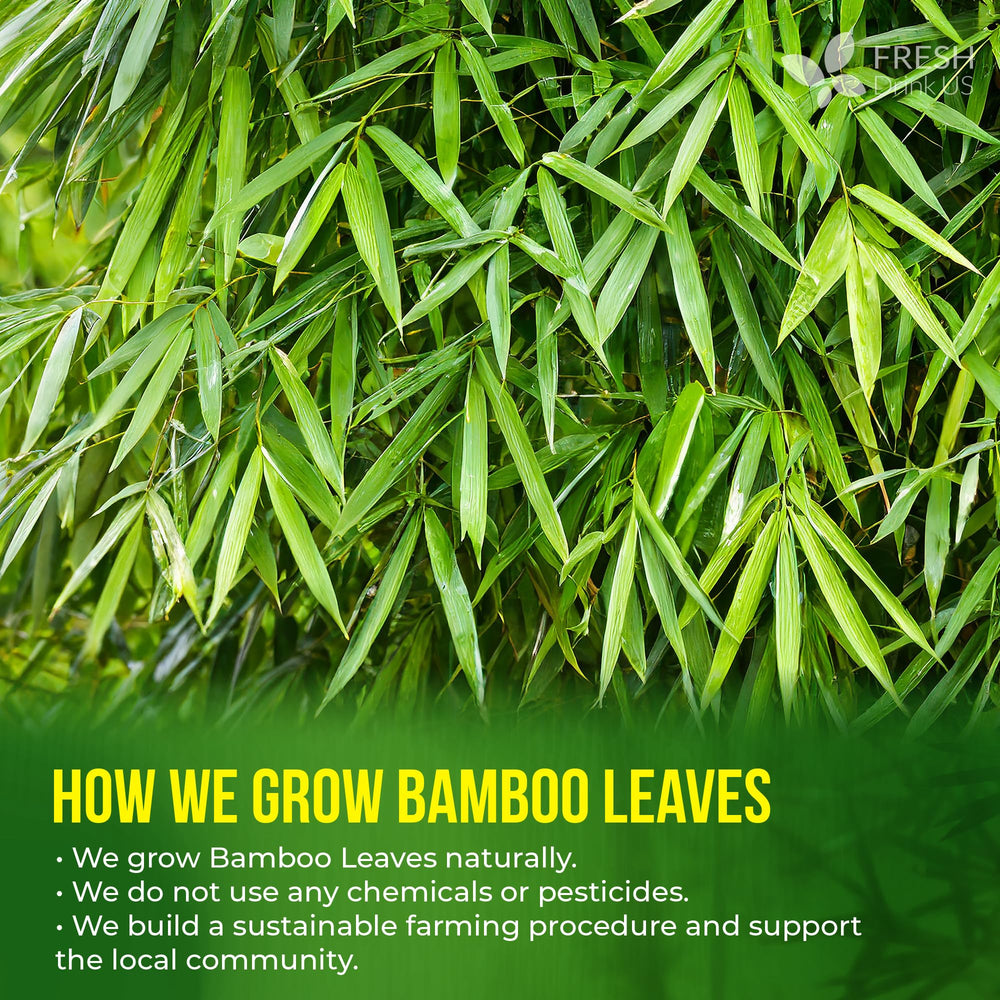 FRESHDRINKUS detalle de hojas de bambú para beneficio calidad natural