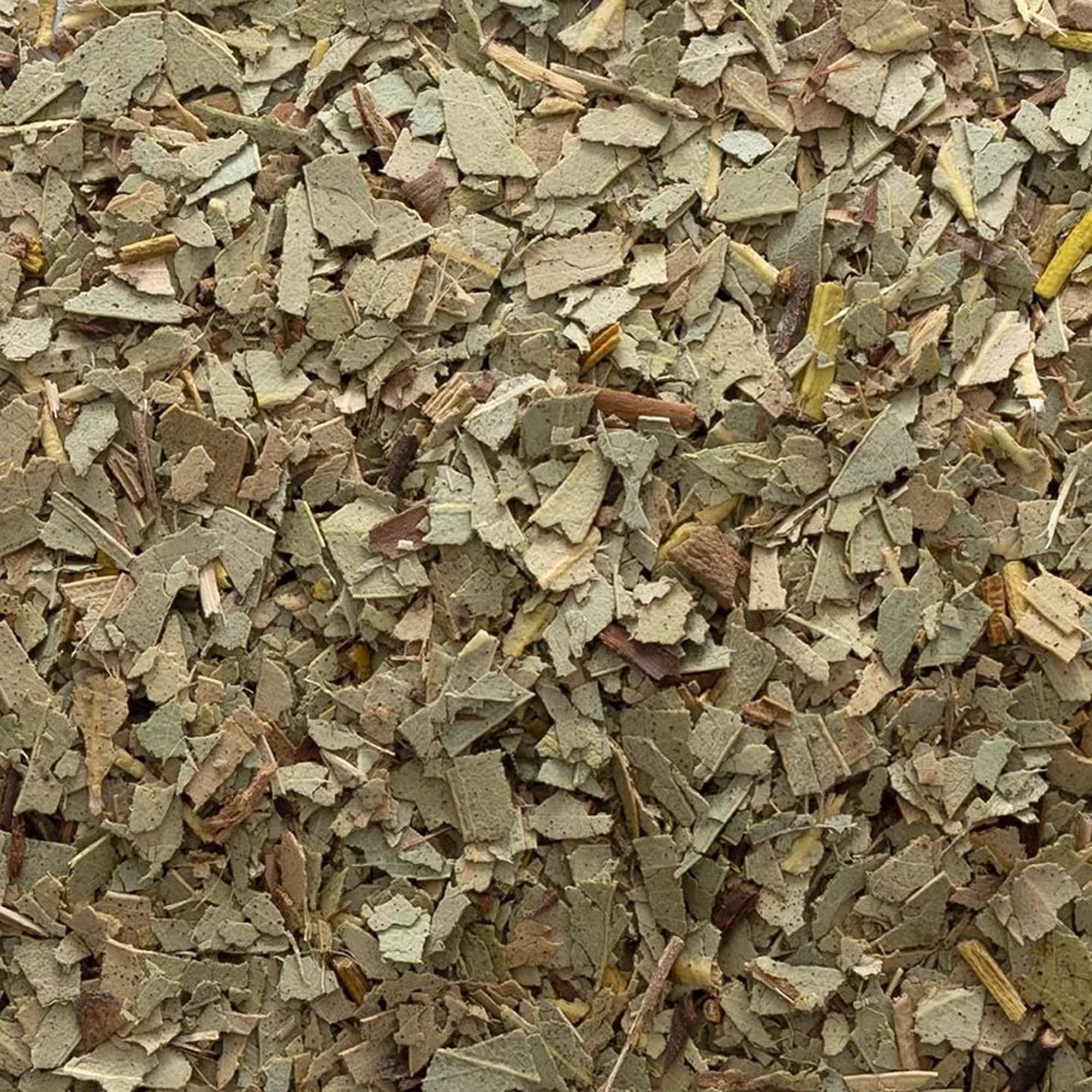 Mano midiendo hojas de eucalipto Frontier Co-op para preparar una infusión