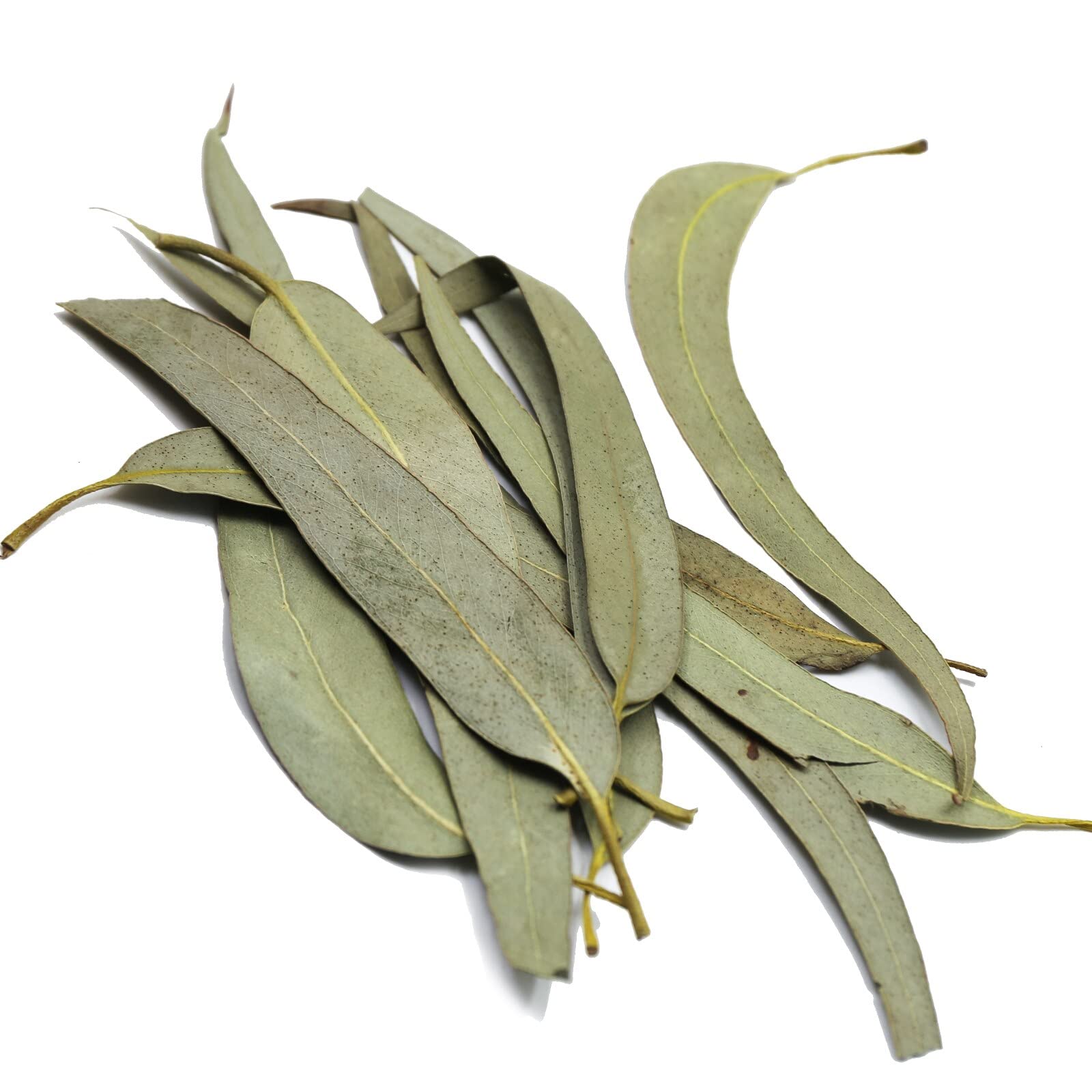 FullChea textura de hojas secas en primer plano su aroma natural conservado