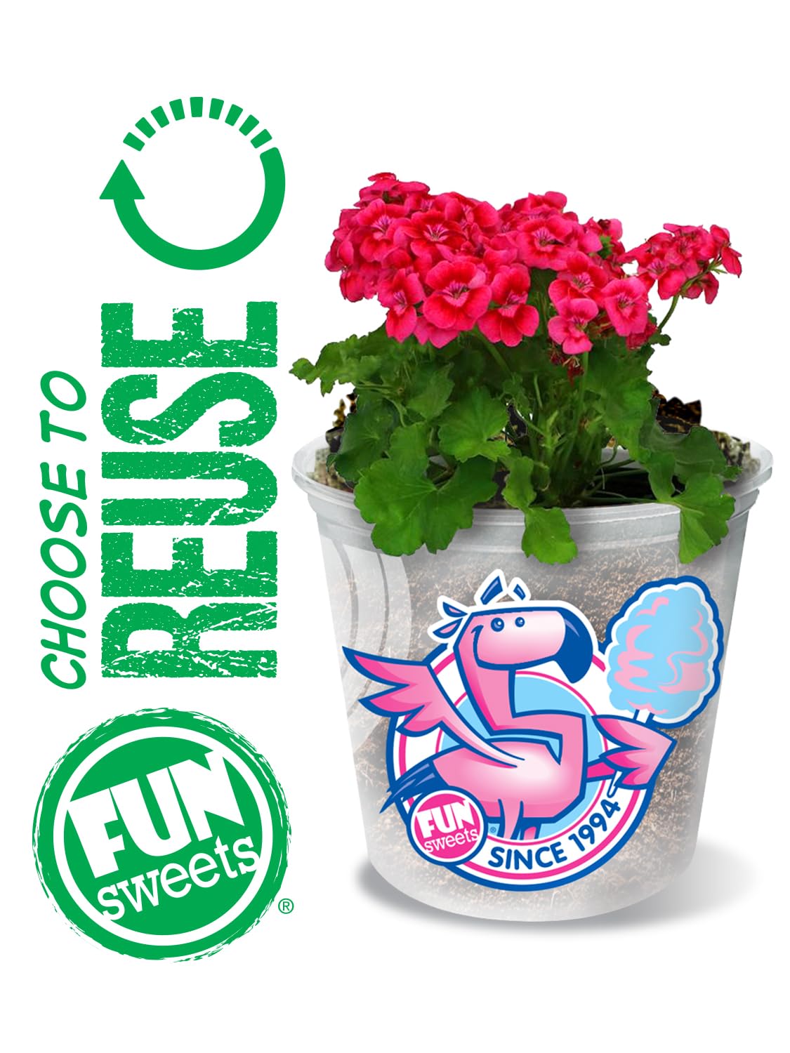 Fun Sweets comparación tamaño junto a una mano para ver la porción práctica
