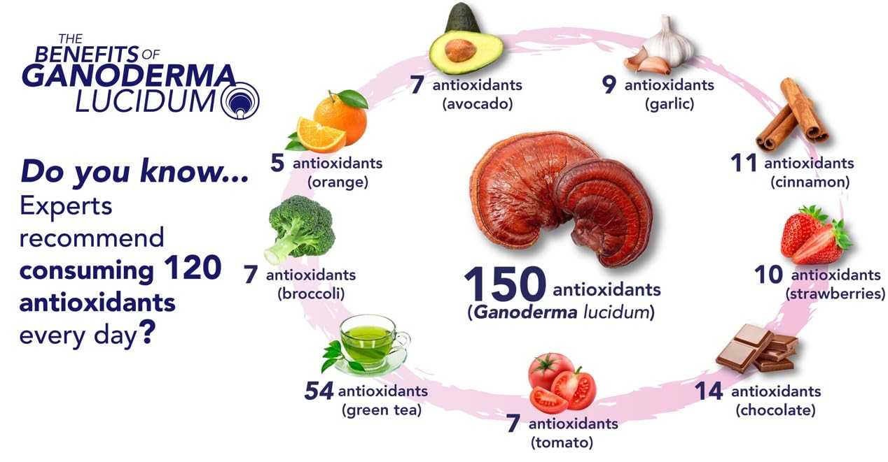 GanoCafé etiqueta informativa con ingredientes, GanoCafé transparencia y detalles nutricionales