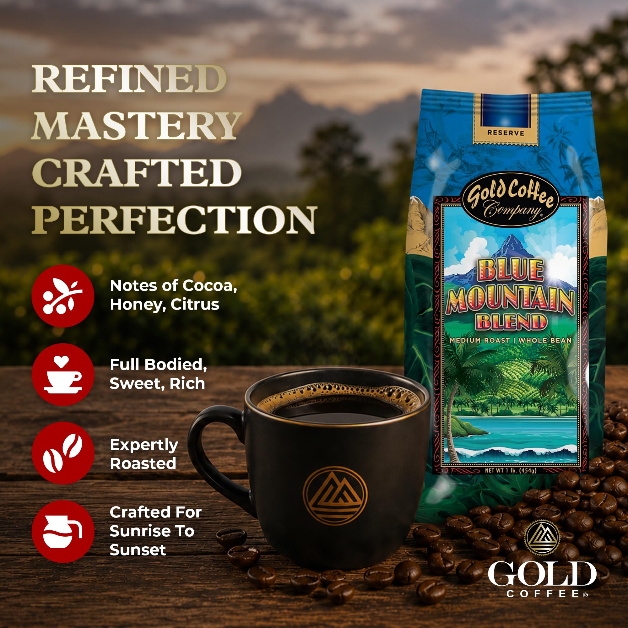 Gold Coffee Company primer plano del molido que revela textura rica