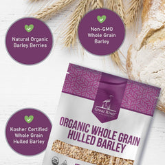 Great River Milling porridge de cebada en tazón, desayuno caliente y nutritivo