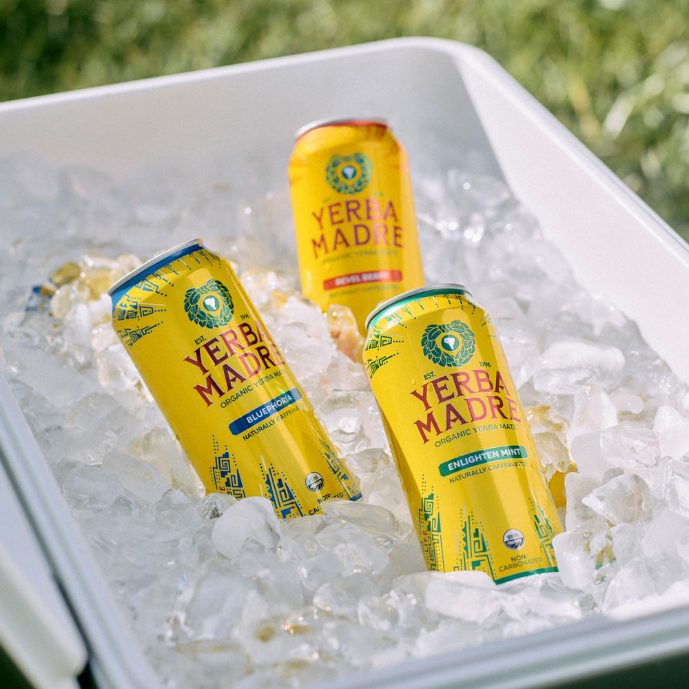 Guayaki Yerba Madre lineup de Enlighten Mint Revel Berry Bluephoria para elegir