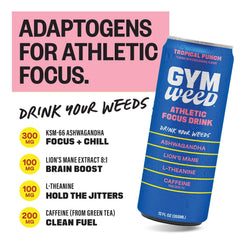 GYM SODA borde de lata y textura que resalta facilidad de consumo refrescante