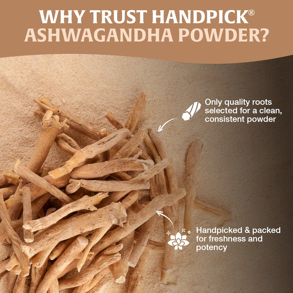 HANDPICK batido vegetal con ashwagandha mezclado para energía