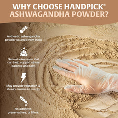 HANDPICK taza de té con ashwagandha lista para tomar y calmar