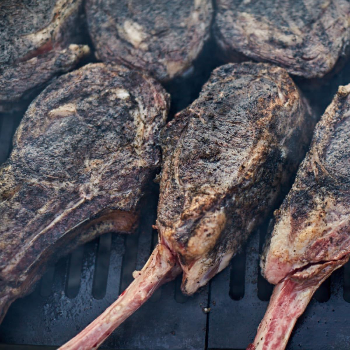 Hardcore Carnivore primer plano del carbón activado que oscurece corteza