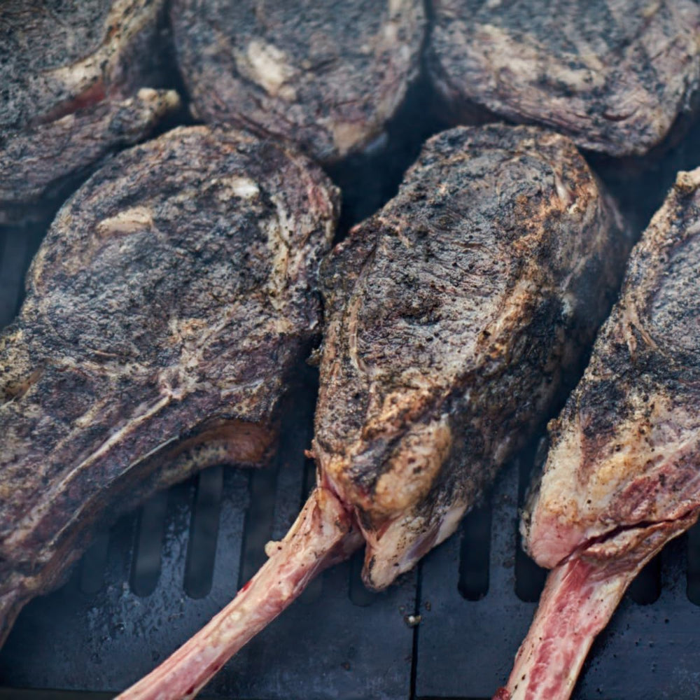 Hardcore Carnivore primer plano del carbón activado que oscurece corteza