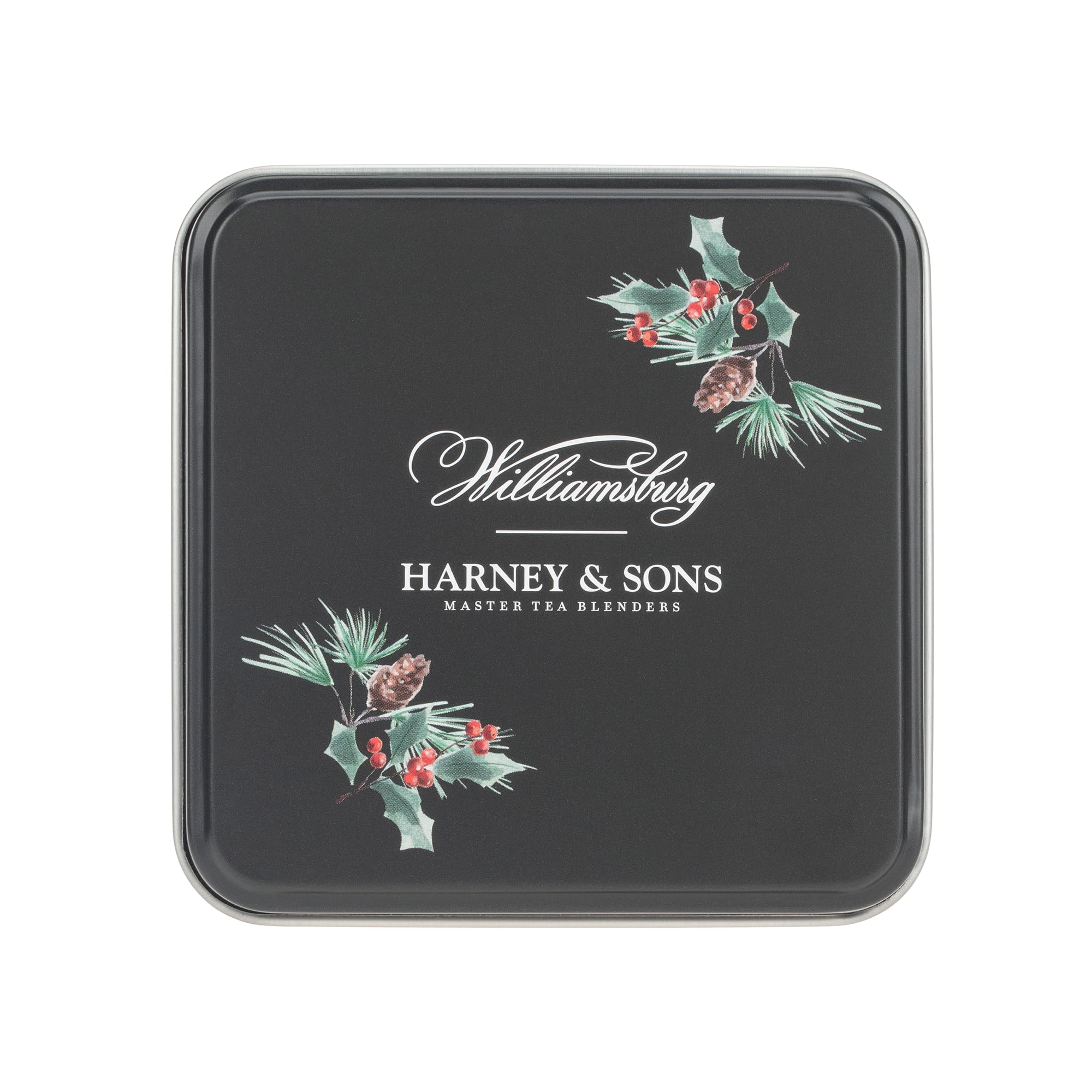 Harney & Sons saquito junto a mano para mostrar tamaño y facilidad de uso