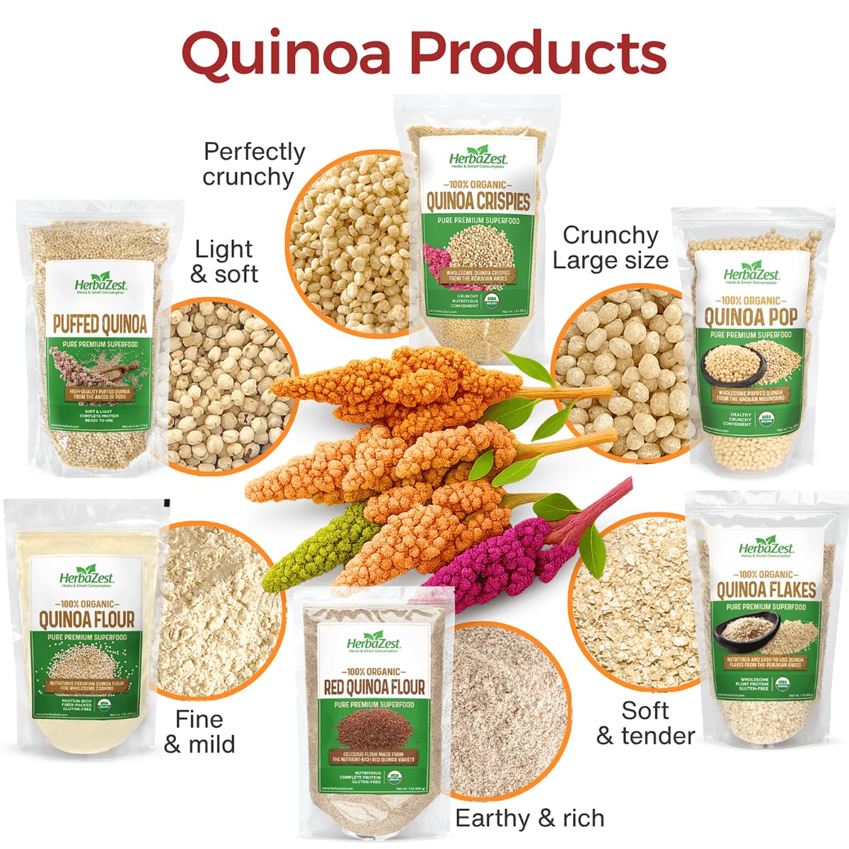HerbaZest quinoa pop granos de quinoa antes de inflarse evidenciando origen