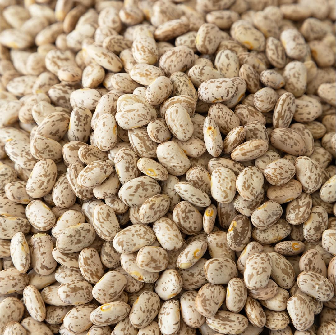 High Plains Beans frijoles cocidos en cuchara mostrando textura cremosa y apetecible
