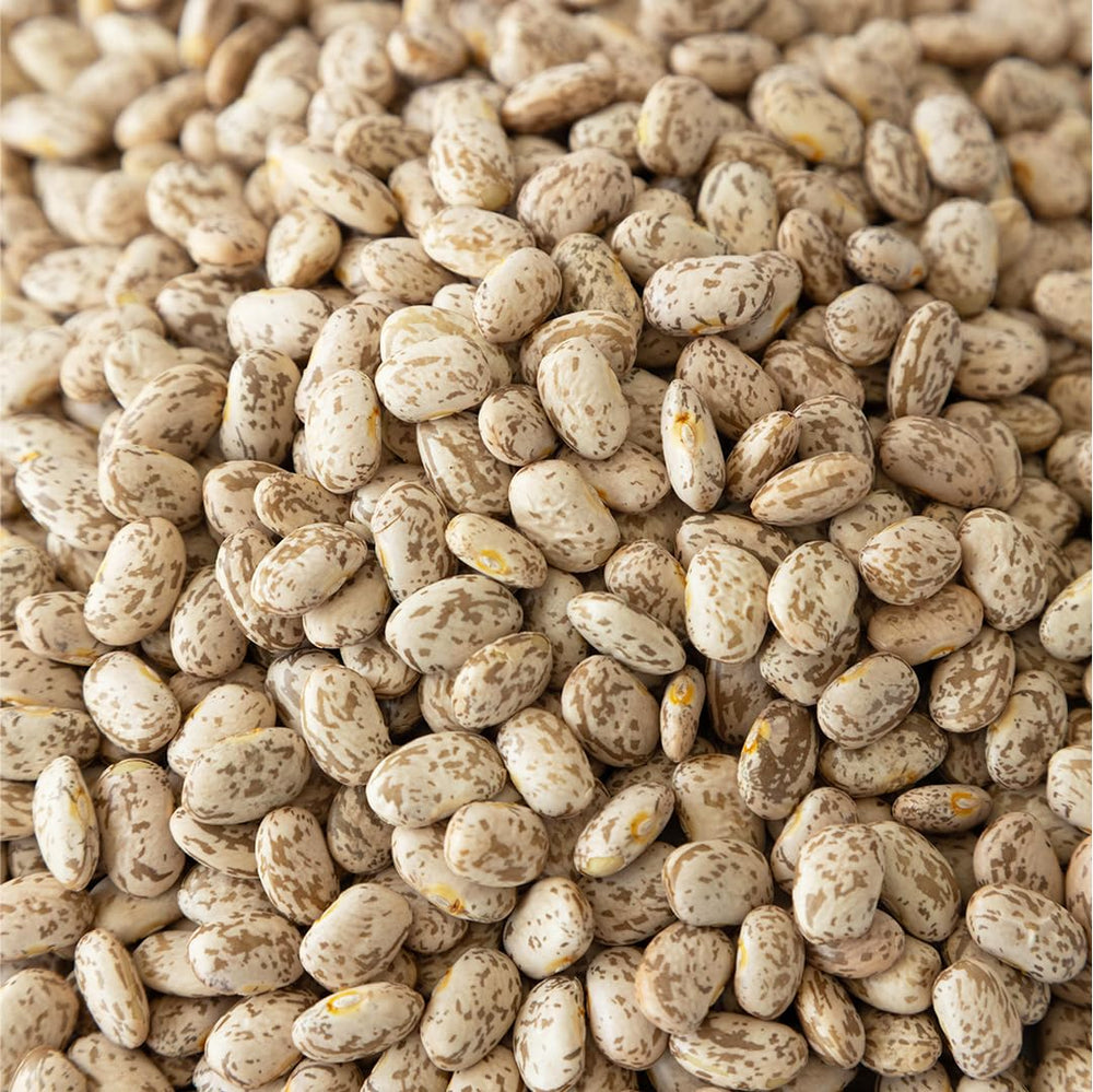 High Plains Beans frijoles cocidos en cuchara mostrando textura cremosa y apetecible