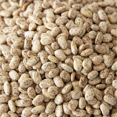 High Plains Beans frijoles cocidos en cuchara mostrando textura cremosa y apetecible