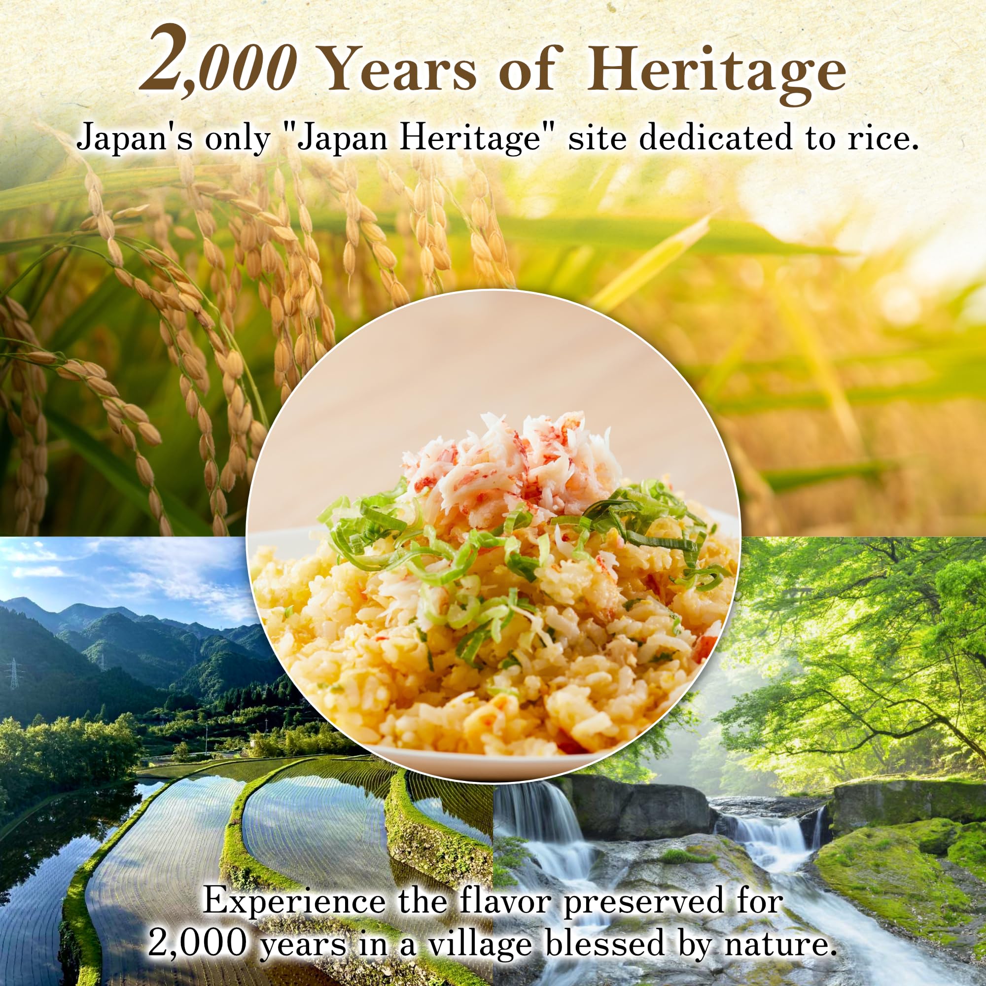 九州の大自然しらき HINOHIKARI granos cercanos mostrando textura y frescura