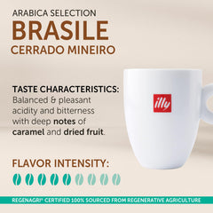 illy primer plano de granos de Cerrado Mineiro con textura y calidad