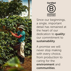 illy crema en taza mostrando cuerpo y aroma equilibrado