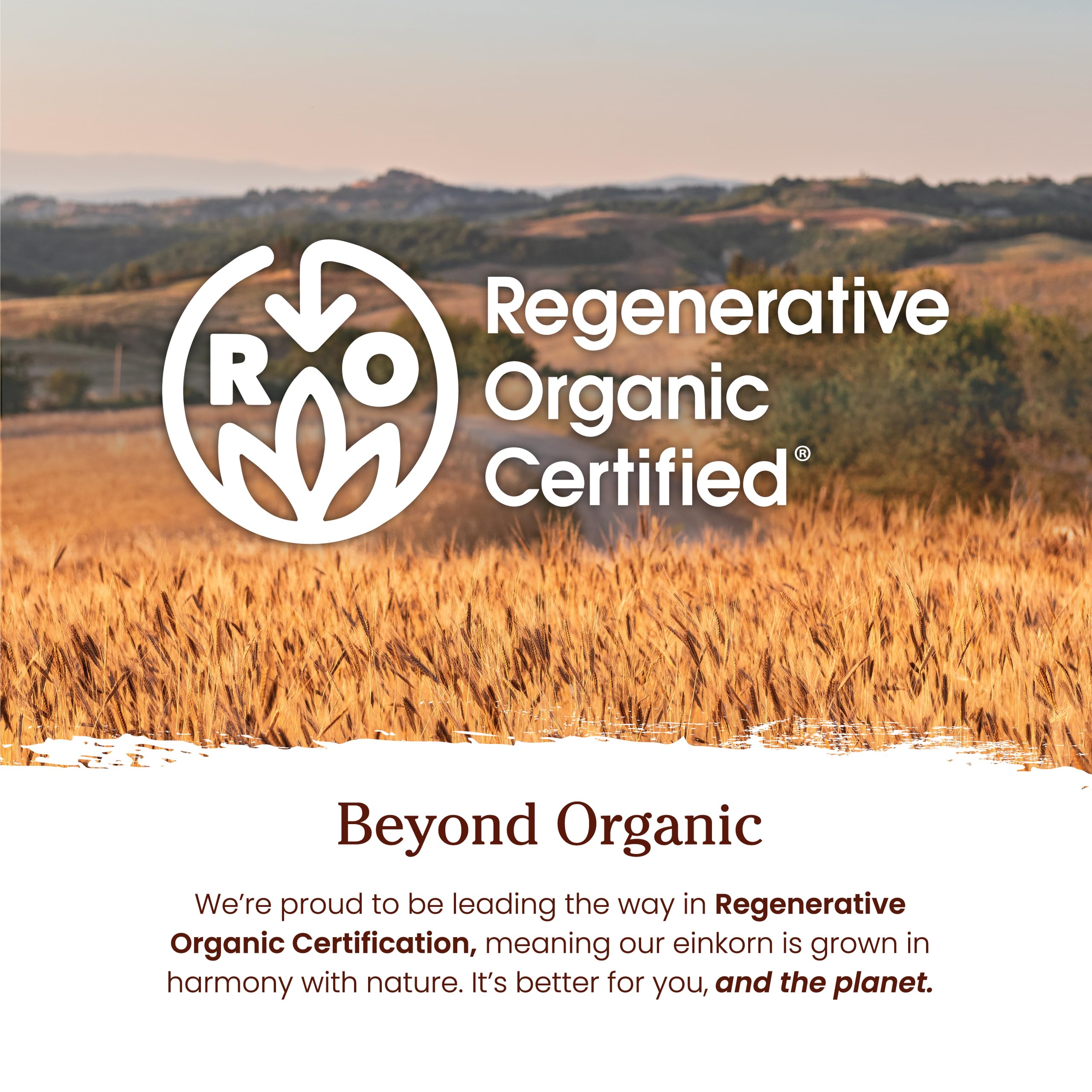 Jovial comparación de tamaño del paquete de harina de einkorn y objetos cotidianos