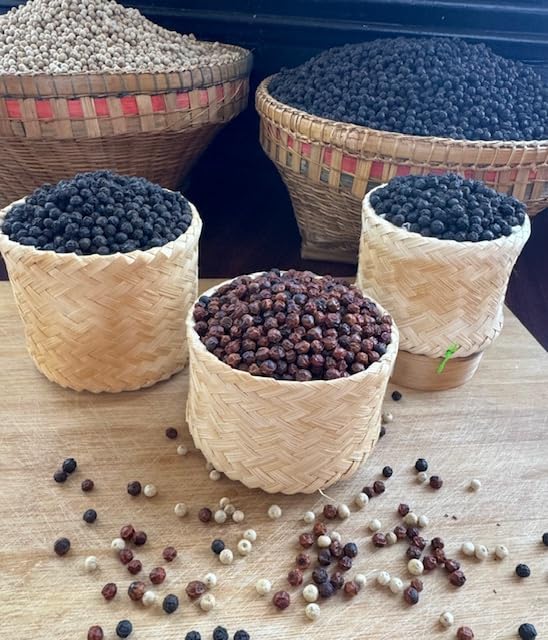 Kampot Pepper granos en mano ilustrando recolección manual