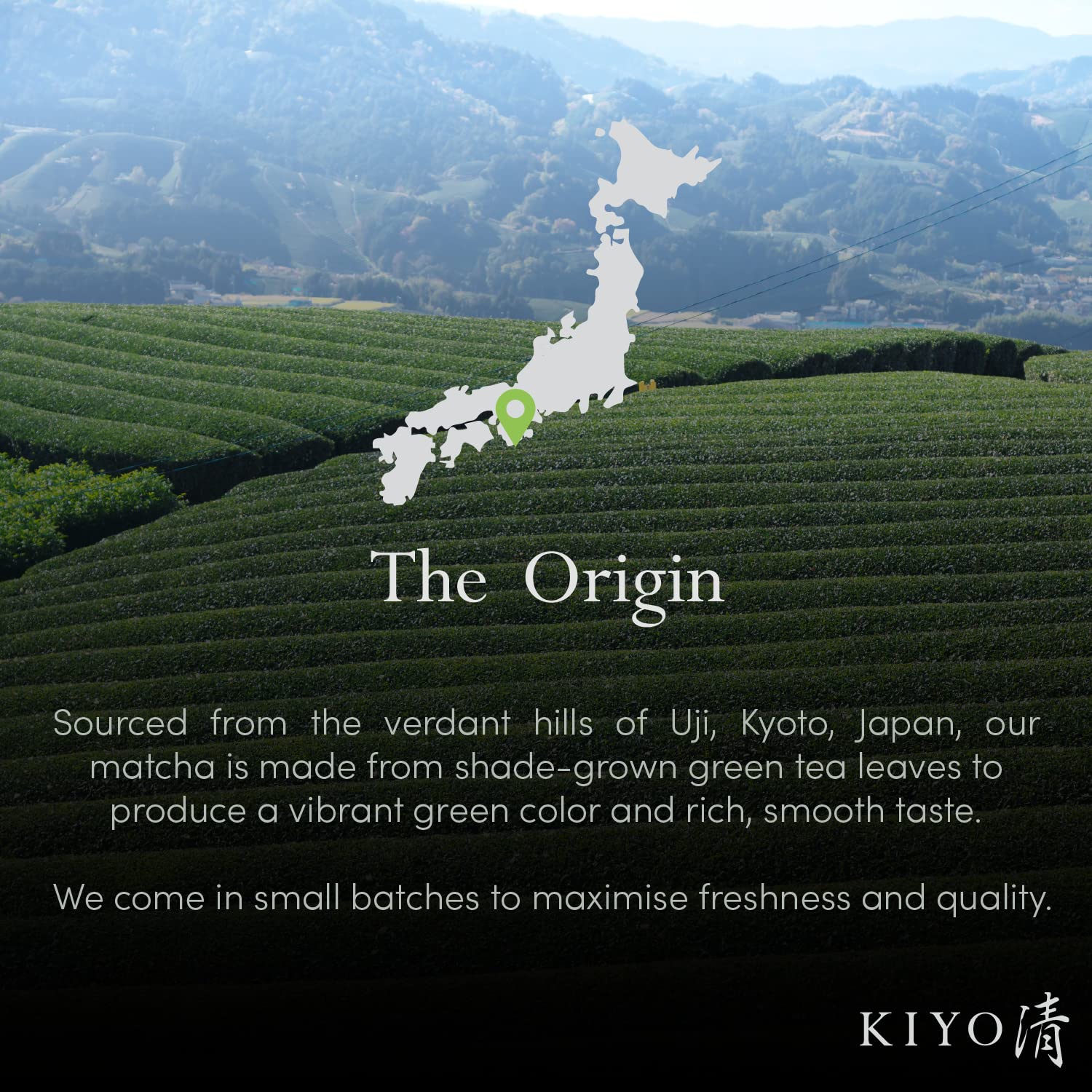 Kiyo Matcha lata abierta con bolsa sellada preservando frescura