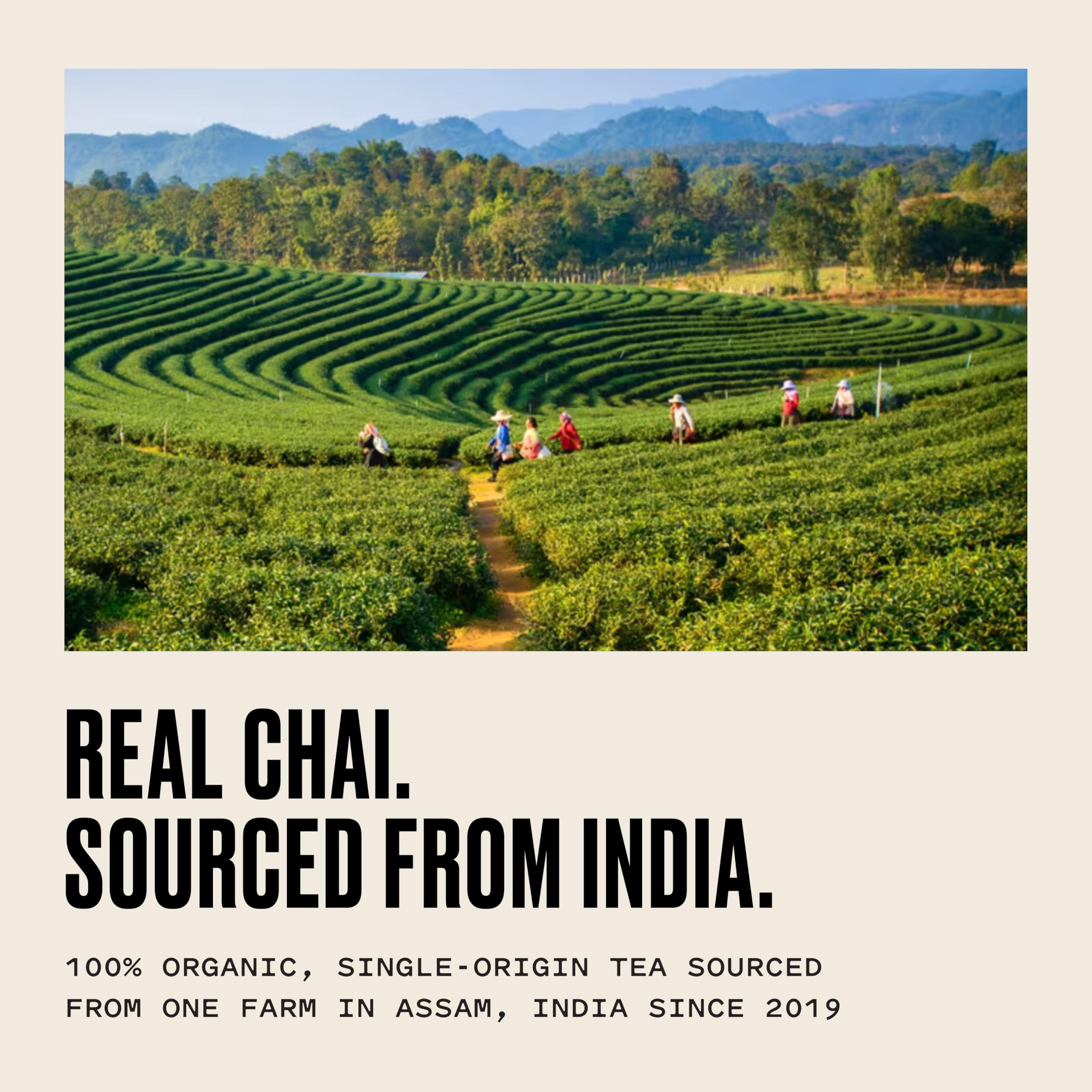 Kolkata Chai etiqueta con lista de ingredientes naturales y origen Assam