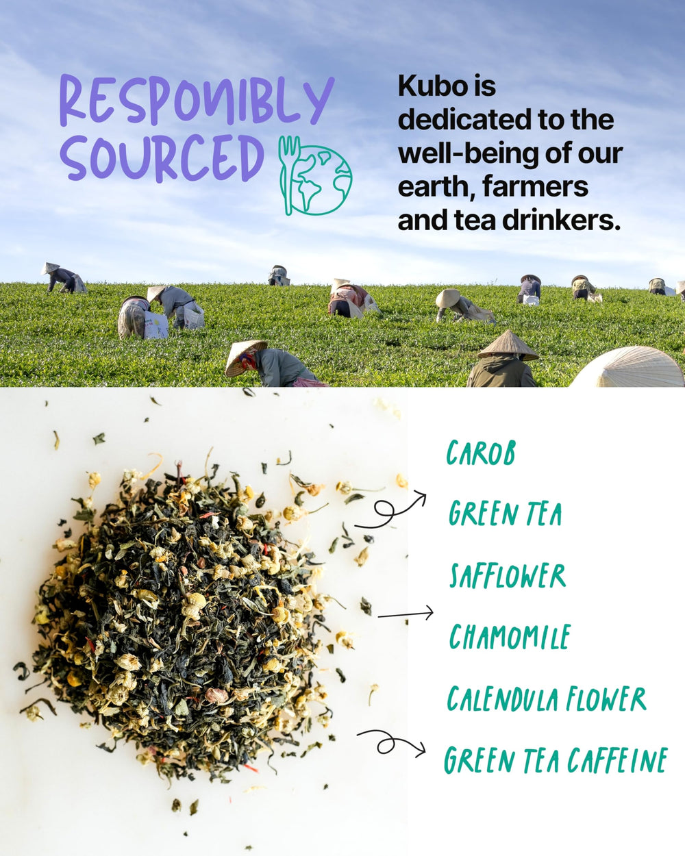 Kubo Tea bolsitas compostables enfatizando ecoamigabilidad