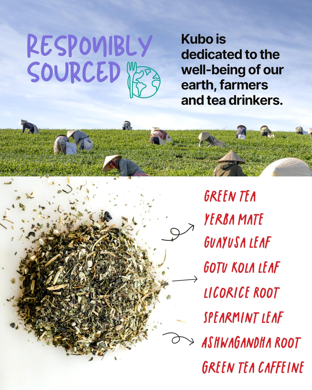 Kubo Tea hojas de yerba mate orgánica, fuente de cafeína natural