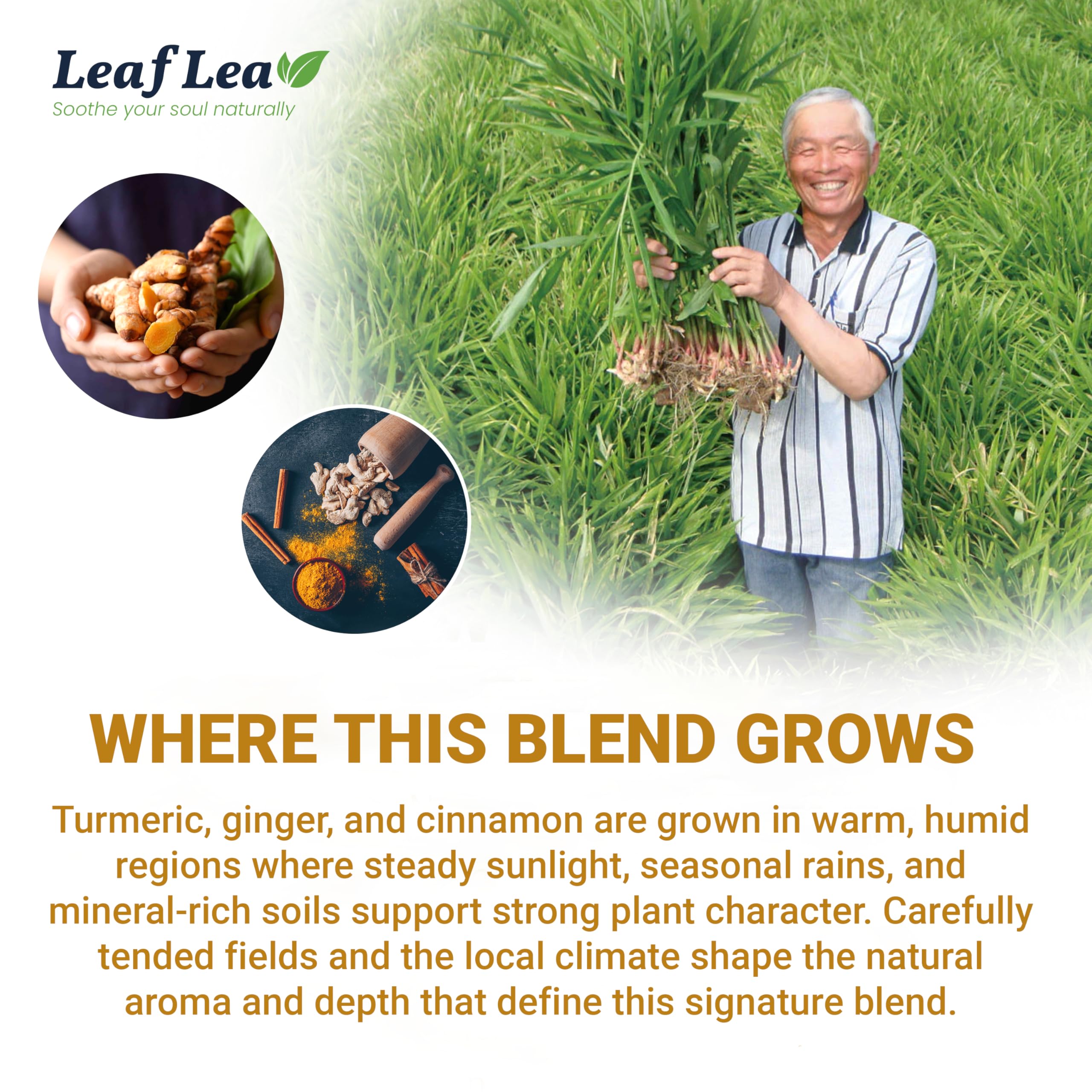 LeafLea ambiente de cocina con taza servido para inspirar consumo diario