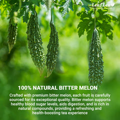 LeafLea bolsita individual fuera del sobre lista para infusionar