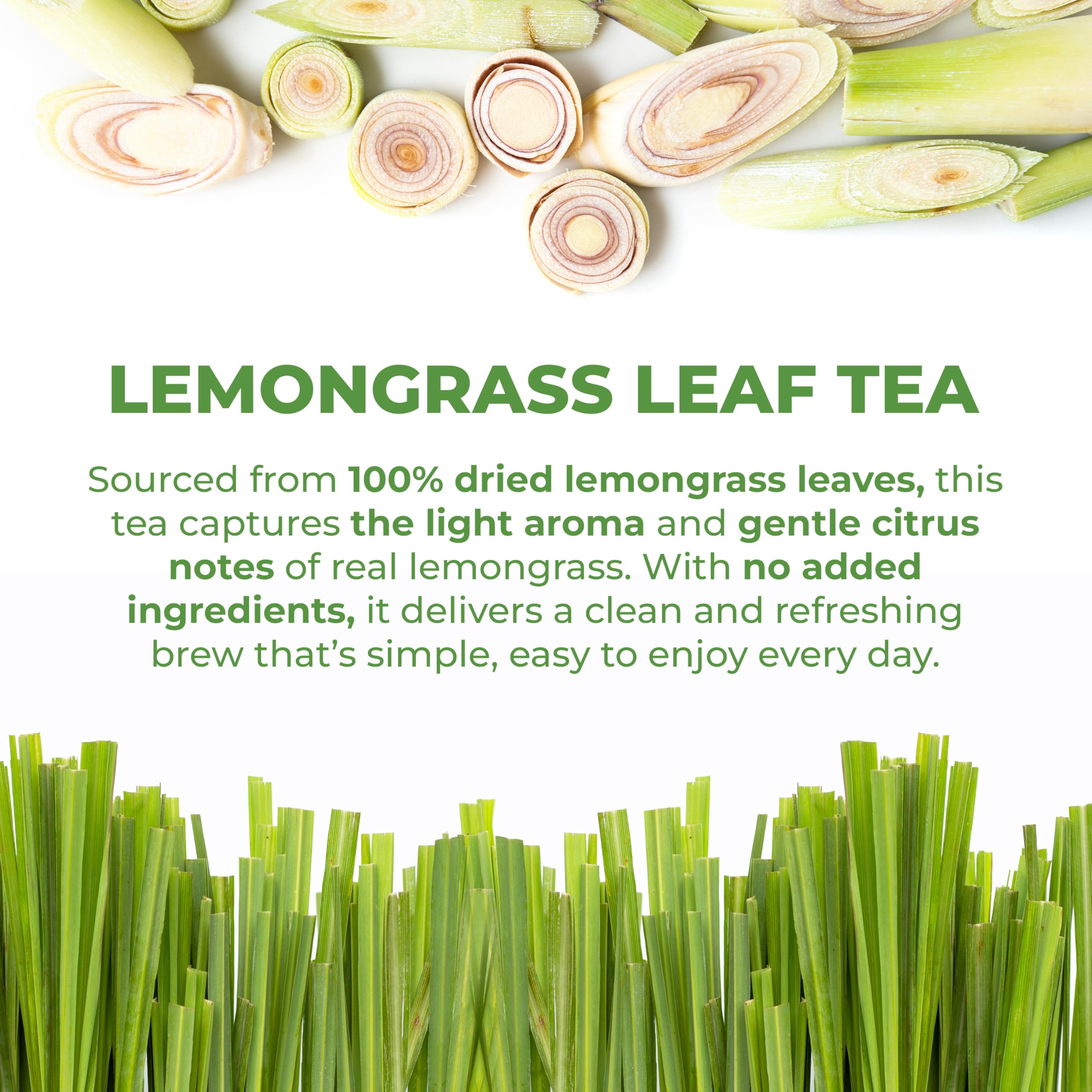 LeafLea bolsita lista para infusionar en fondo blanco