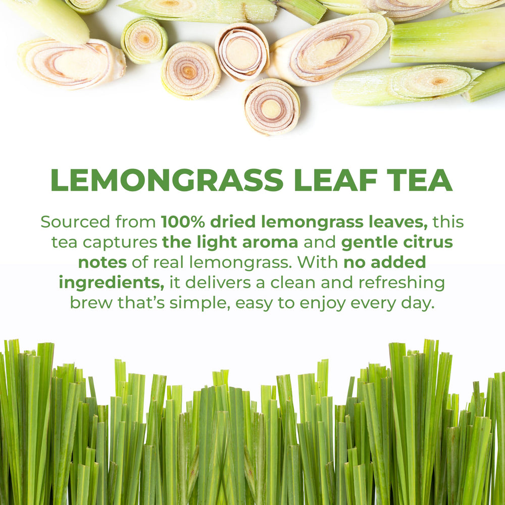 LeafLea bolsita lista para infusionar en fondo blanco