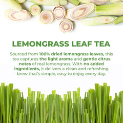 LeafLea bolsita lista para infusionar en fondo blanco