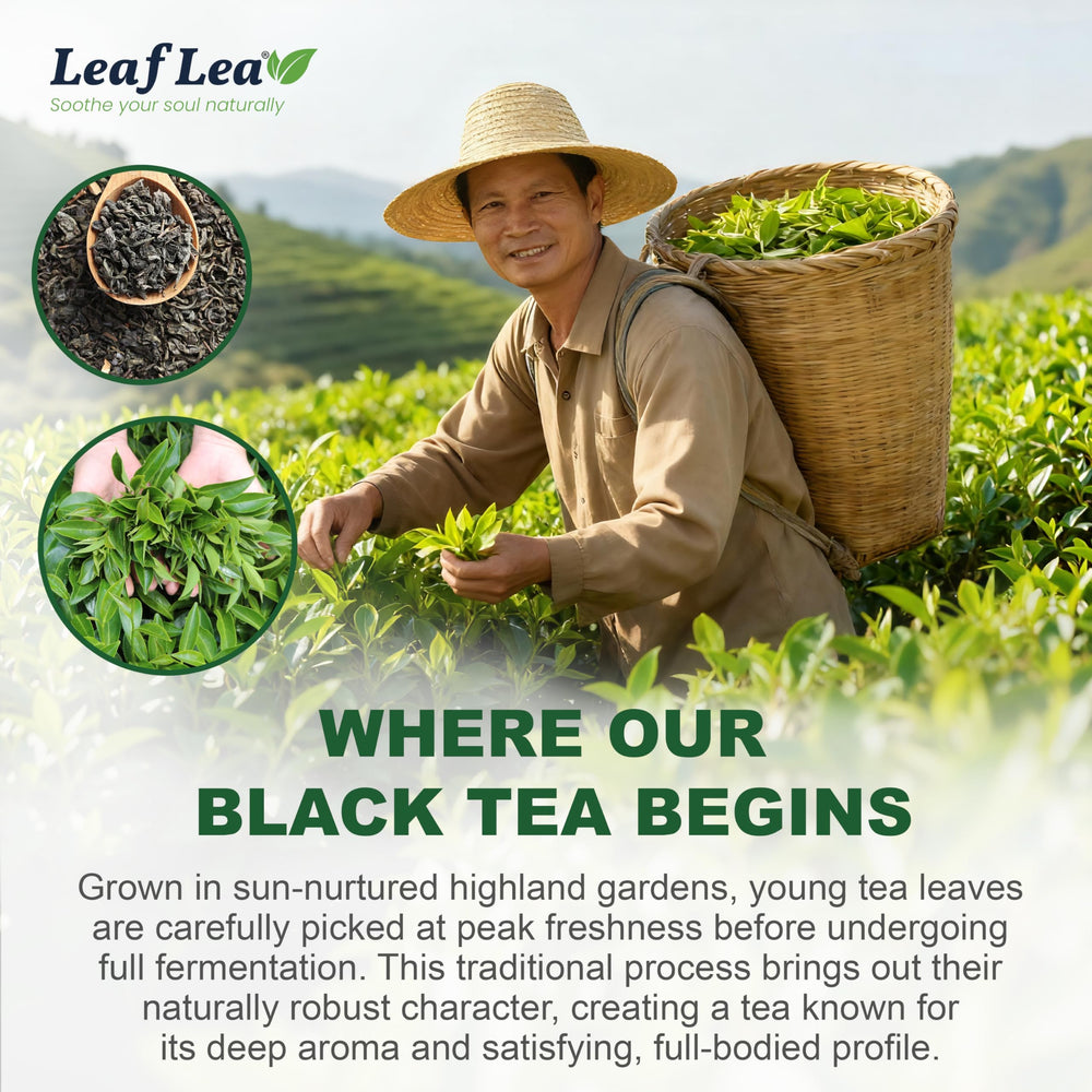 LeafLea caja abierta exhibiendo 40 bolsitas individuales, práctico