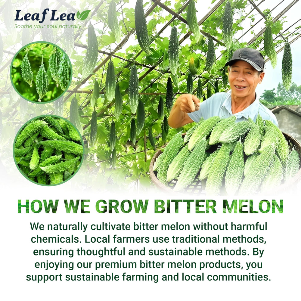 LeafLea cajas apiladas para almacenamiento práctico y ordenado