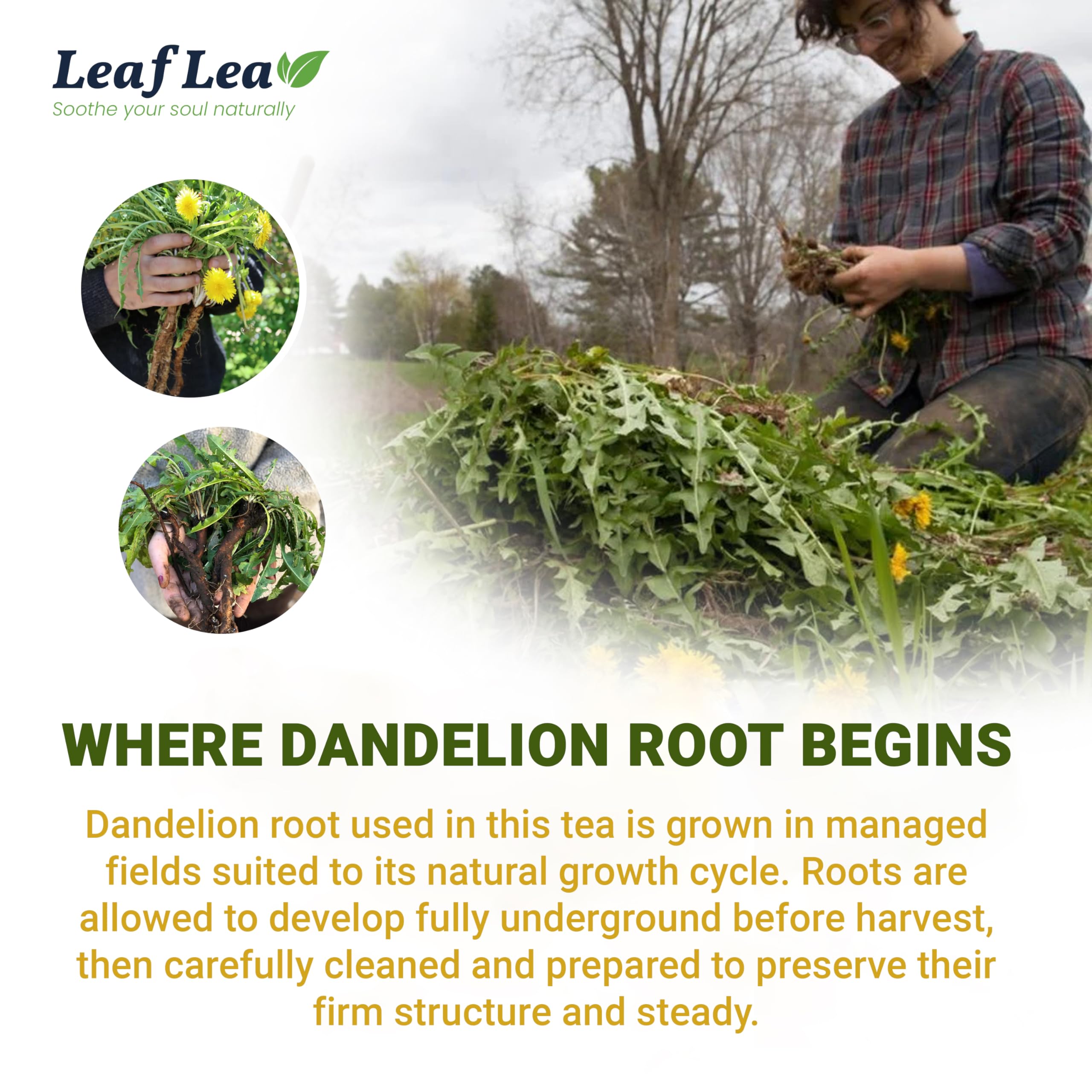 LeafLea bolsita junto a regla para comparar tamaño y facilidad de uso