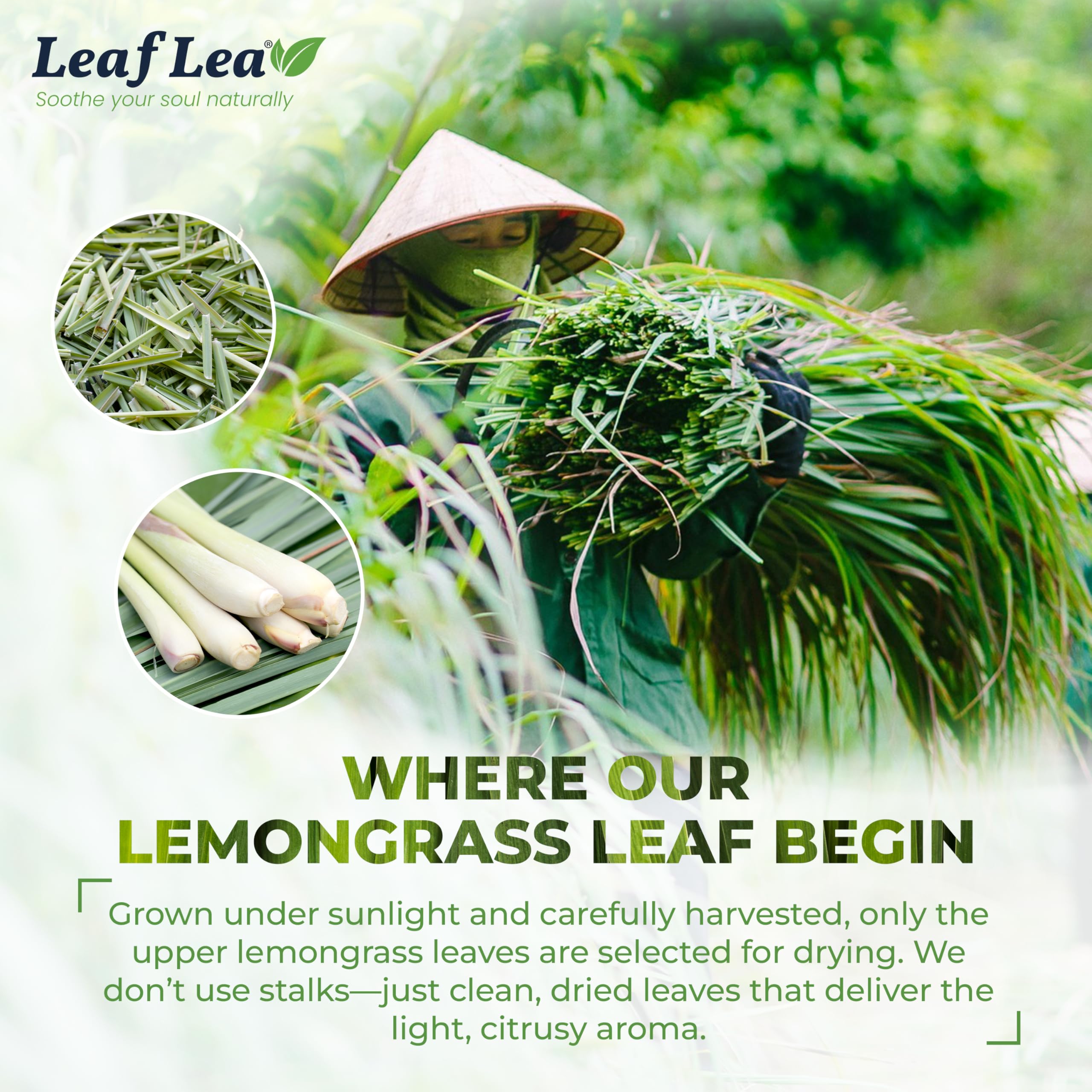 LeafLea etiqueta indicando ingrediente único y pureza